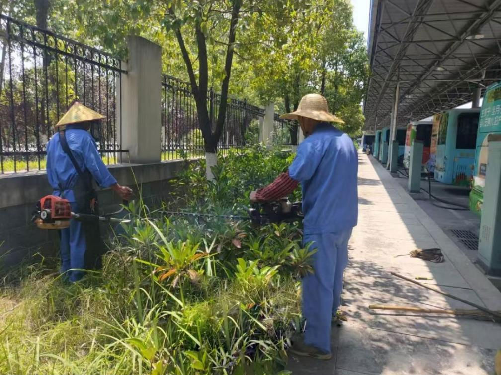 6.10绿化养护.png
